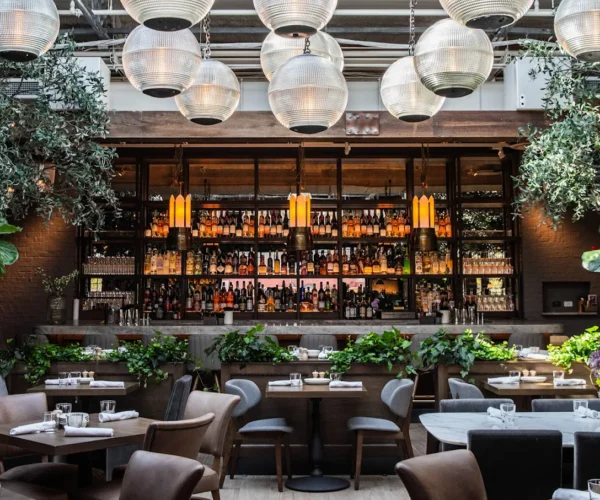 Aba Chicago – Mediterranean Dining Experience in Chicago, IL