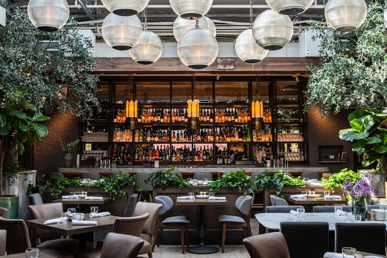 Aba Chicago – Mediterranean Dining Experience in Chicago, IL
